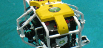 Coral repair bots seeks funding on Kickstarter Photo
