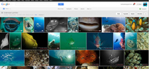 Google+ improves its RAW conversion Photo