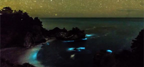 A glowing plankton bloom in Big Sur, California Photo