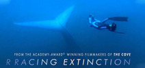 Racing Extinction goes to air on 2 December Photo