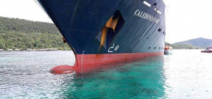 Recovery of Raja Ampat reef damaged by cruise ship up to 100 years Photo