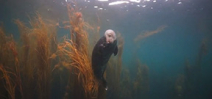Video: Scillies seals Photo