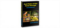 Reef ID Books releases Reef Fishes of the Coral Triangle guide Photo