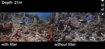 Video: The effects of filters on color underwater by Daniel Keller Photo