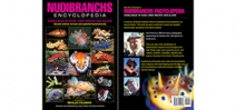 2nd edition of Neville Coleman’s Nudibranch Encylopedia available to pre-order Photo