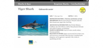 New World releases iBook version of Caribbean Reef Fish ID Photo
