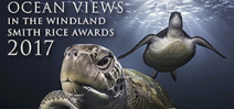 Ocean Views is now part of the Windland Awards Photo