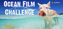 Call for Entries: Ocean Film Challenge Photo