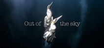 Video: Out of the Sky by Behind the Mask Photo
