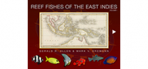 New App: Reef Fishes of the East Indies Photo