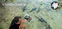Book: Shark Doc, Shark Lab Photo