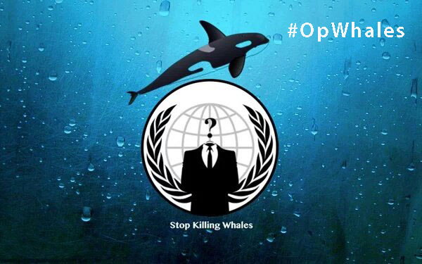 #OpWhales on Wetpixel