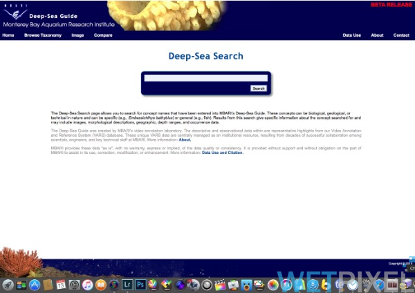 Deep-Sea Guide on Wetpixel